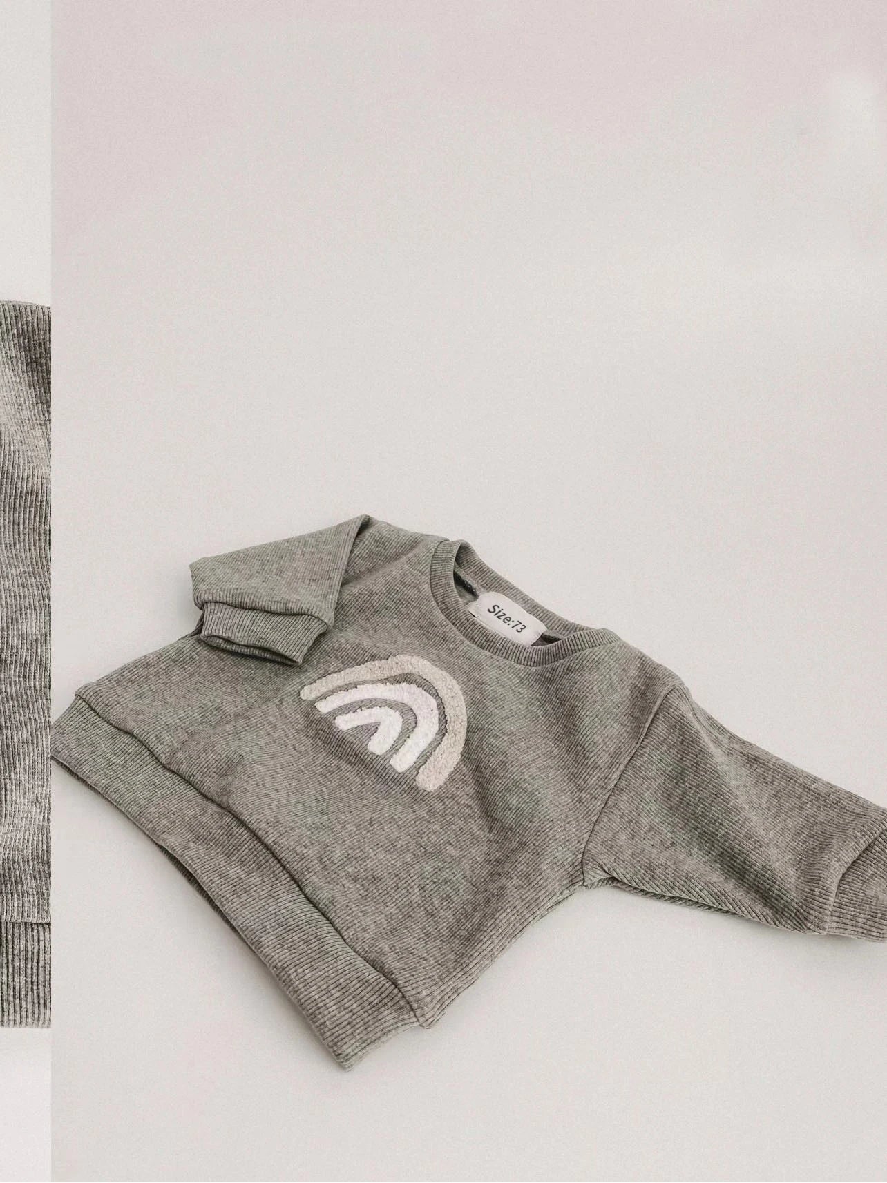 Baby Boy Long-Sleeved Sweatshirts and Pants 2pc Set