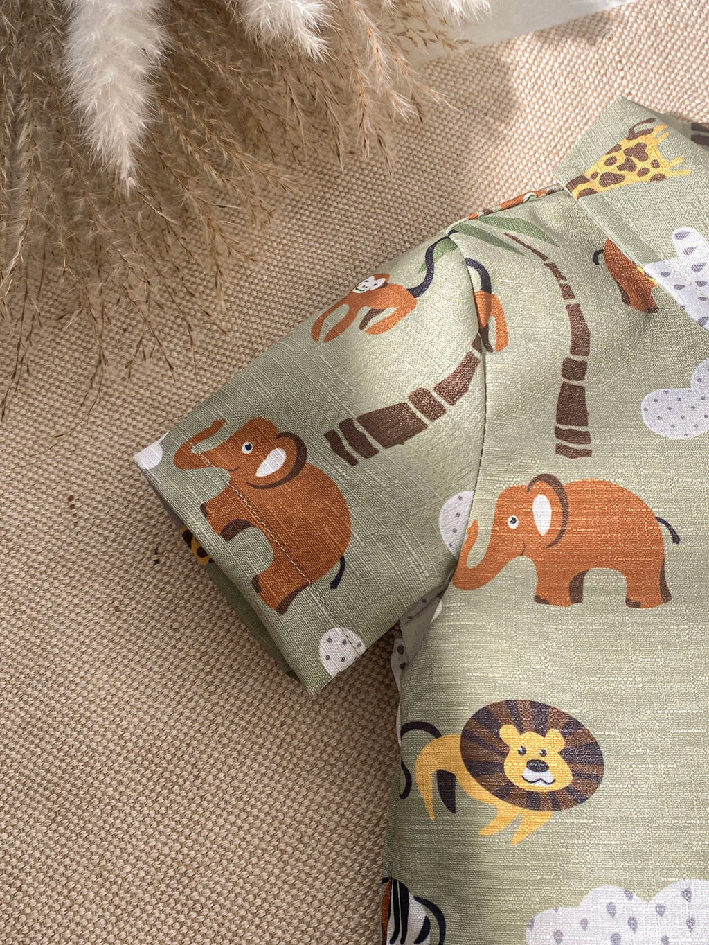 Baby Boys Short Cartoon Animal Top+ Suspenders Set